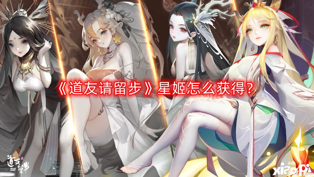 《道友请留步》星姬怎么获得?星姬获取方法