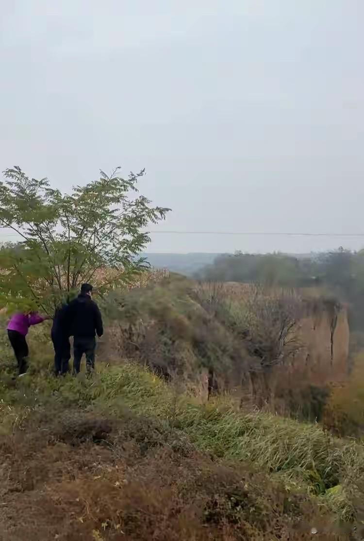 陕西咸阳，女子婚后多次遭丈夫家暴，最终忍无可忍，选择与丈夫离婚，结果被法院驳回。