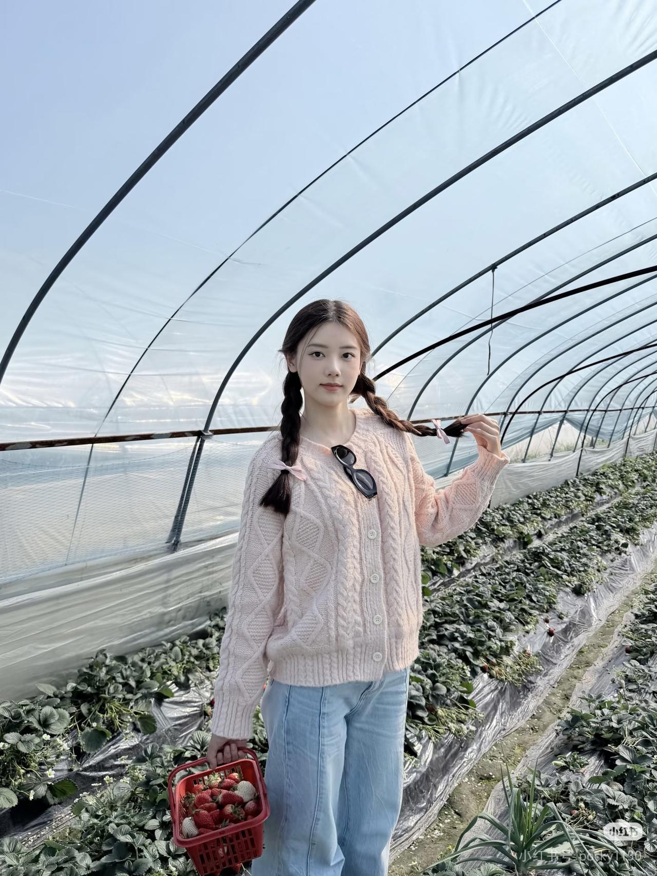 绿野仙踪里，草莓采摘时。