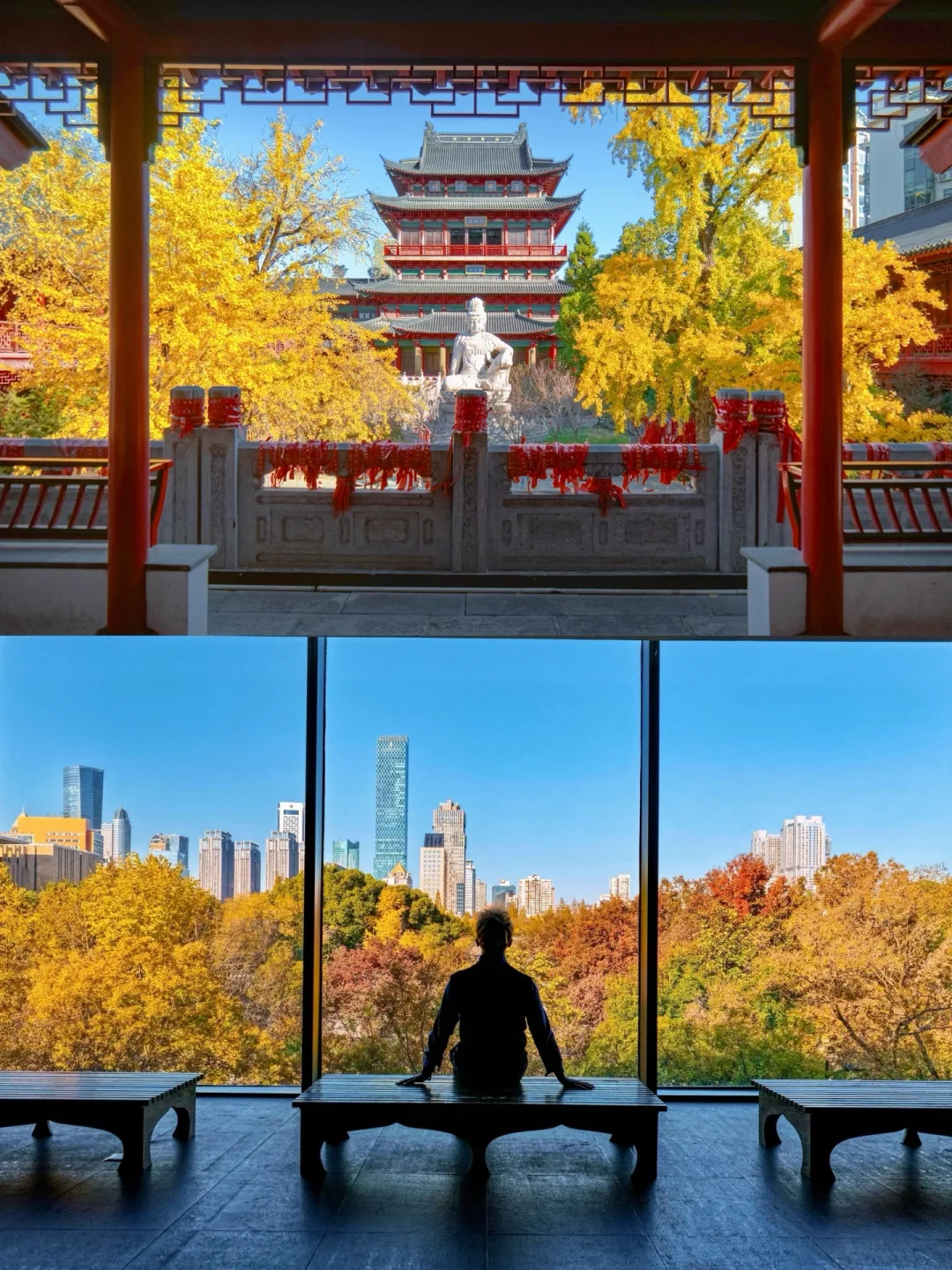 为了这两个秋景🍁我特意凌晨四点去了趟南京