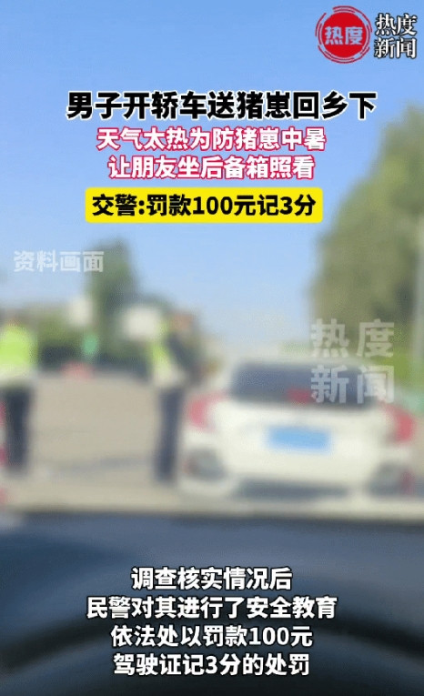 四川阆中一男子购买了两只猪仔准备开车送回乡下养，他把猪仔放在后备箱，但又害怕路上