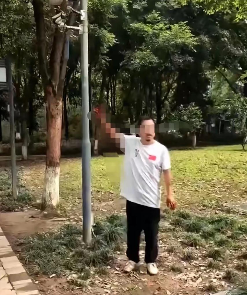 汪廖之事刷屏之下：真正令人担忧的，是高校职称评审的三重合法性危机近期汪副教