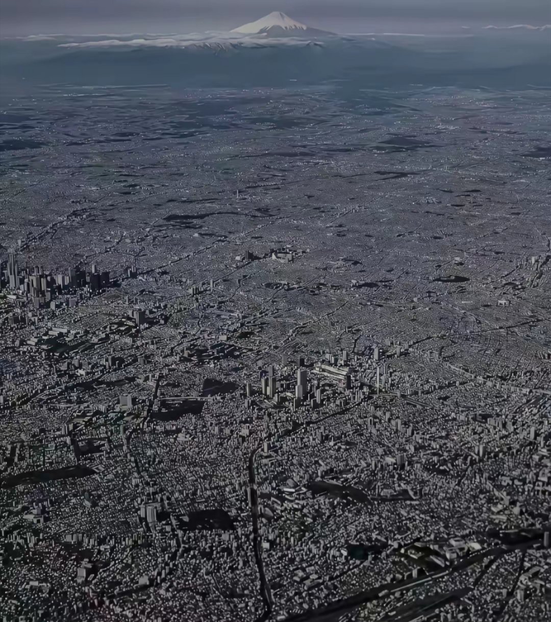 这是日本东京全景图，你看到第一眼最想在这里干什么呢？