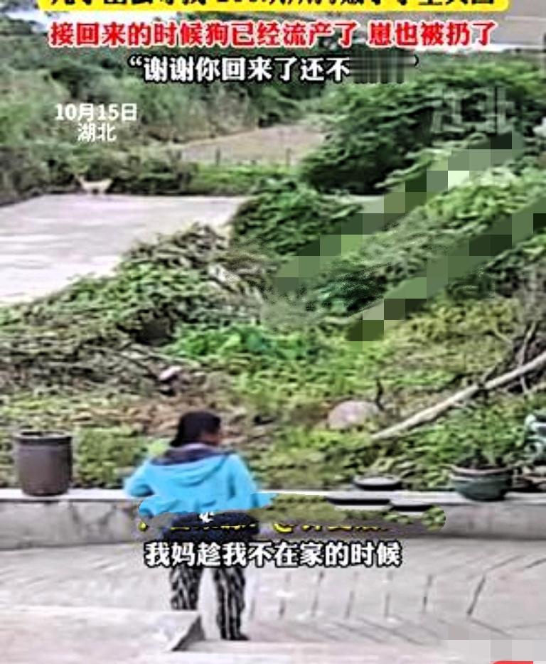 “泪目了！”湖北，一妈妈瞒着儿子卖掉了家里怀孕快生的母狗。儿子知道后，花了42小