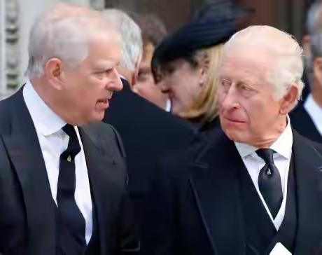 查尔斯对弟弟安德鲁，为何如此无情和决绝？原因很简单，就四个！第一，打小女王就