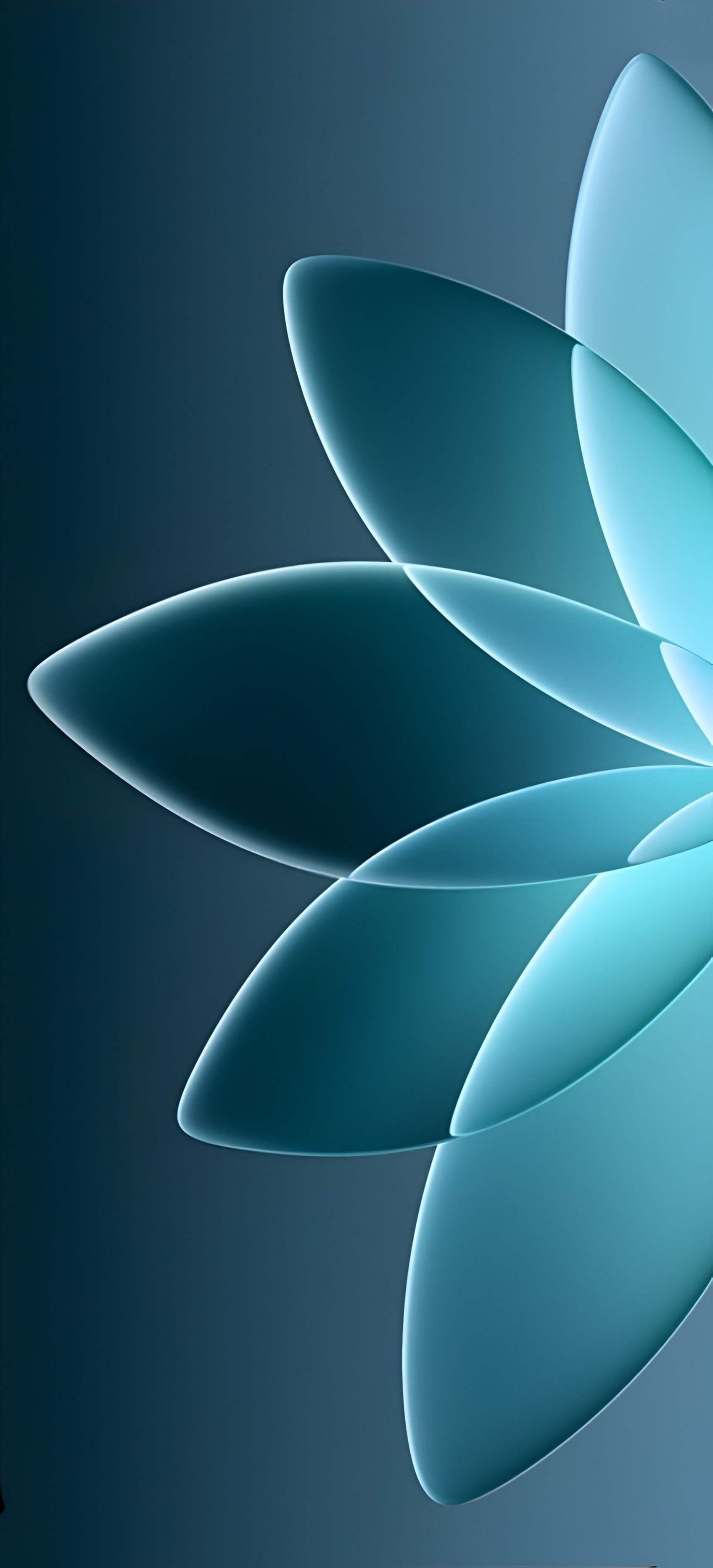 超适合iPhone高质量壁纸