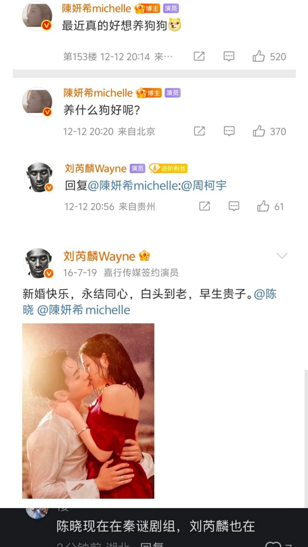 感觉圈内圈外都在围观陈妍希养狗