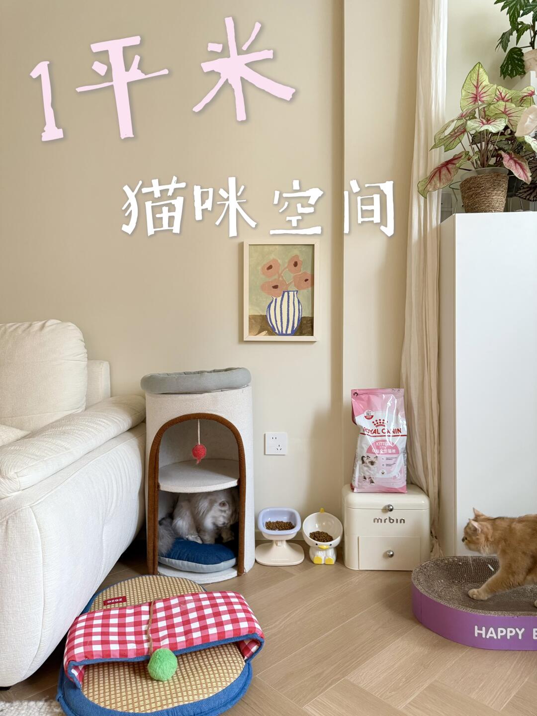 属于小猫的1㎡，搬进来的每一天都好幸福～