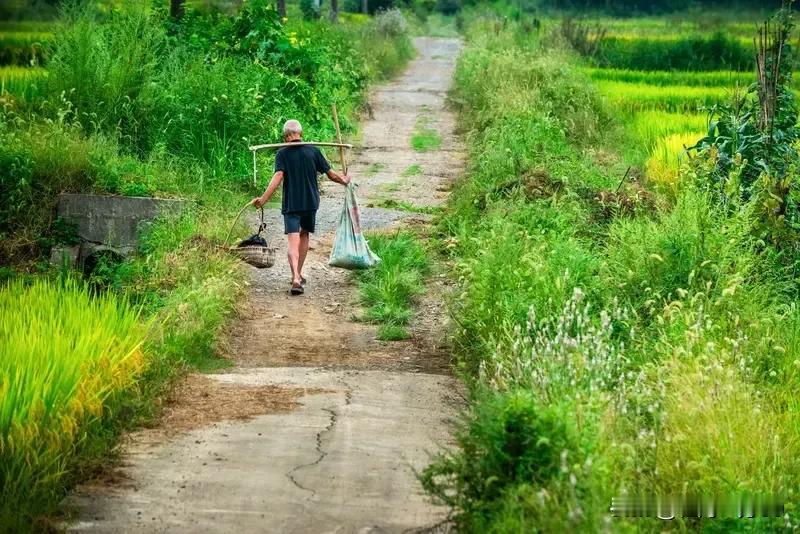 给农民大幅提高养老金才能获得尊严？那农民没有养老金的时代就没有尊严了吗？如果是肯