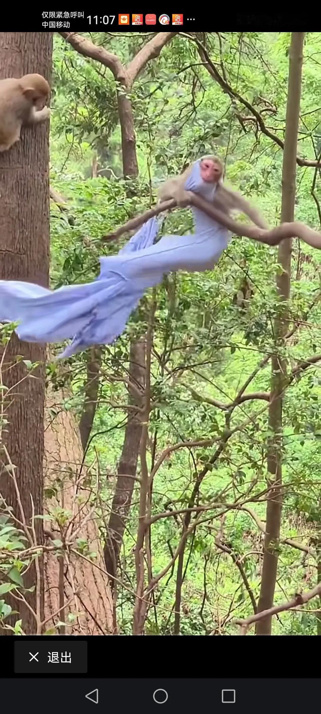 这家伙挺时髦的个人觉得还是非常讨厌的物种之一最怕的还是蛇🐍，毒蛇最怕，大家