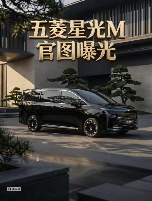 2026年可以闭眼入的五大车型。1：第1名比亚迪。2：第2名吉利汽车。3：