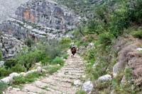 我以为嵩山就是河南的天花板了，直到我爬完这十座山……📍坐标：河南·十大高山