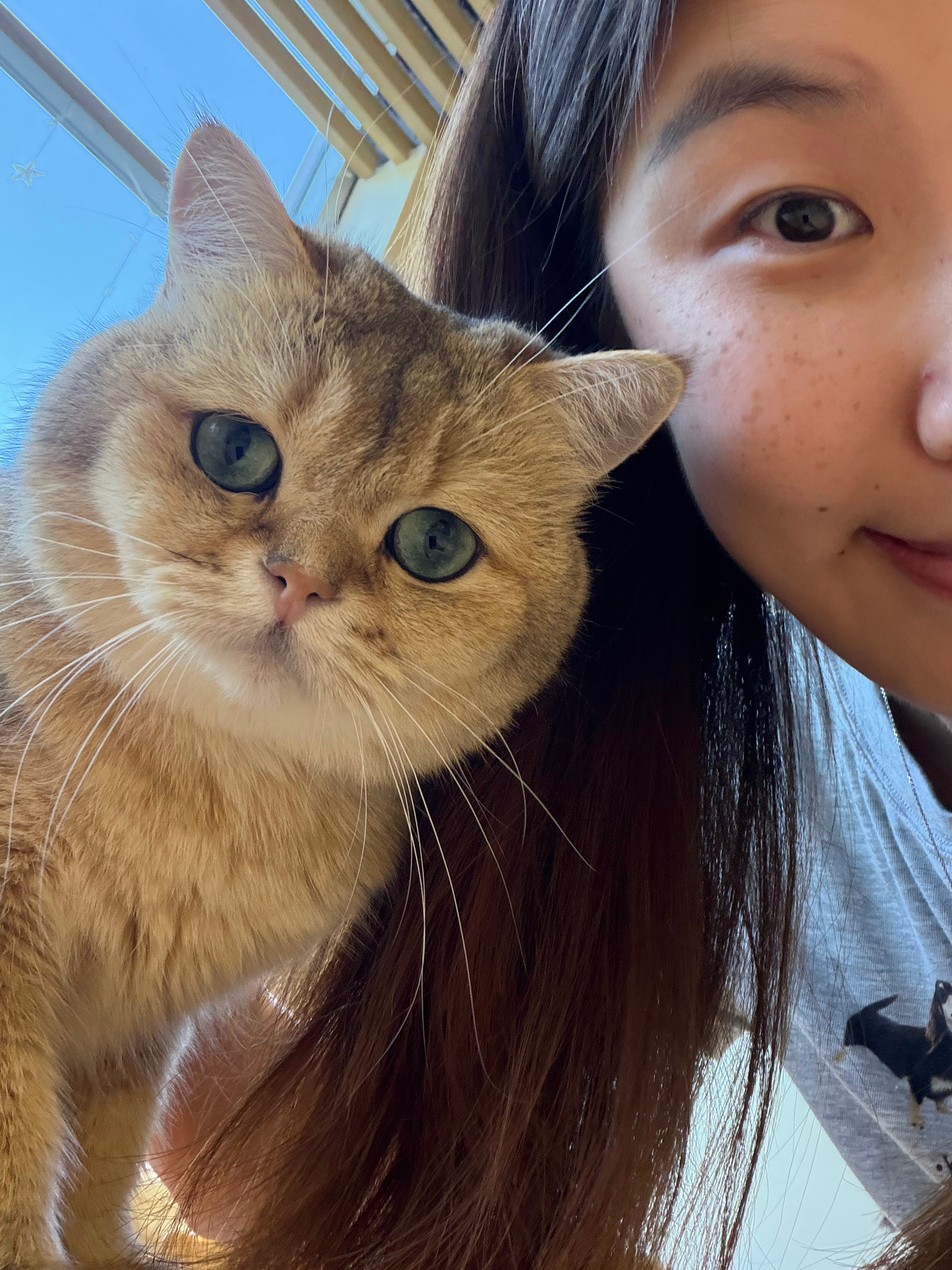 小猫咪你好可爱
