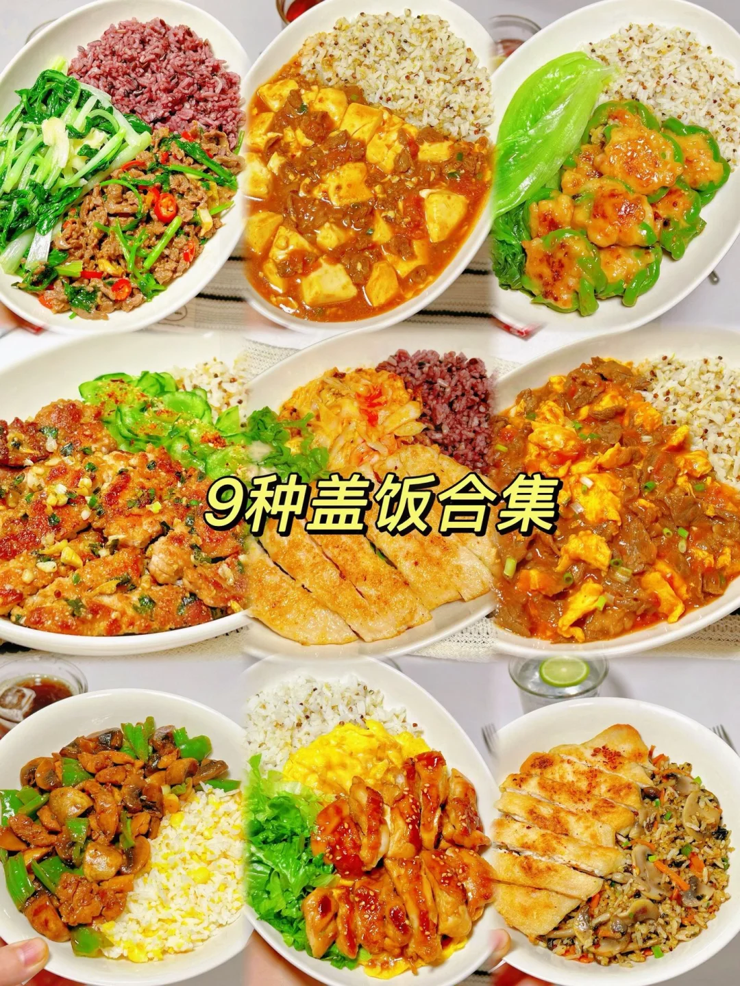 9种盖饭合集、简单易做嘎嘎好吃