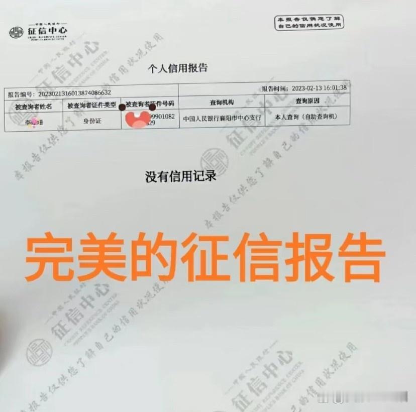 这是我见过最完美的征信报告了