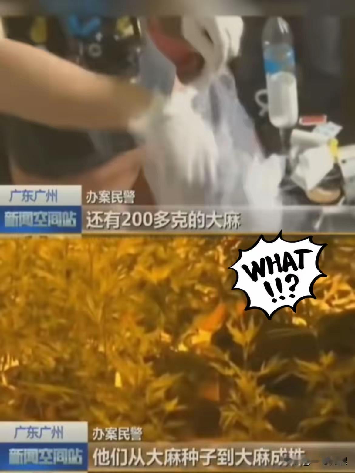 这个佩服了！​广州警方抓获的19名嫌疑人​其中含11名外籍人员组成的贩毒团伙