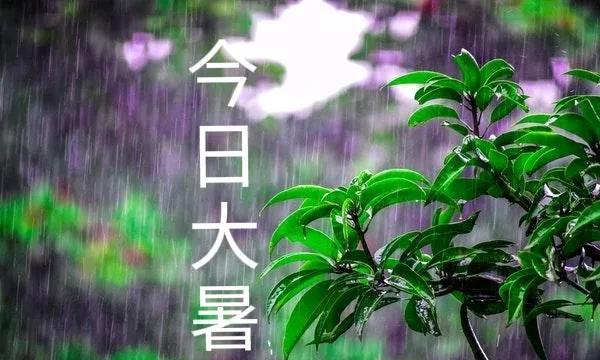 “大暑见三象，农人一年闲”，今日大暑，“三象”指什么？看老人咋说“伏旱不算旱，