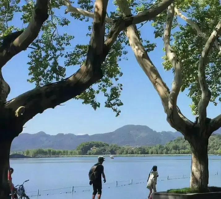 白羊下周像点了火的炮仗，周三上午地铁里被踩一脚就能炸。我上周刚踩了别人鞋，对方