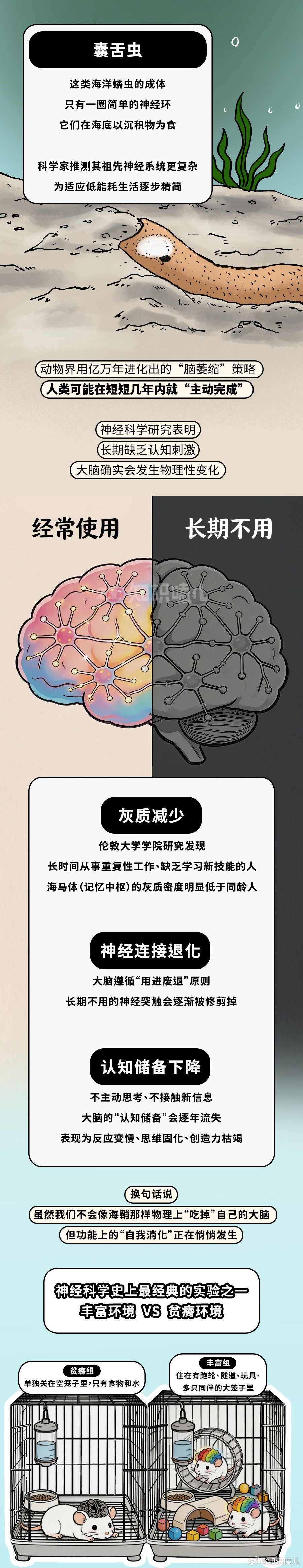 海鞘会吃掉“上岸人”的大脑？科普漫画冷知识