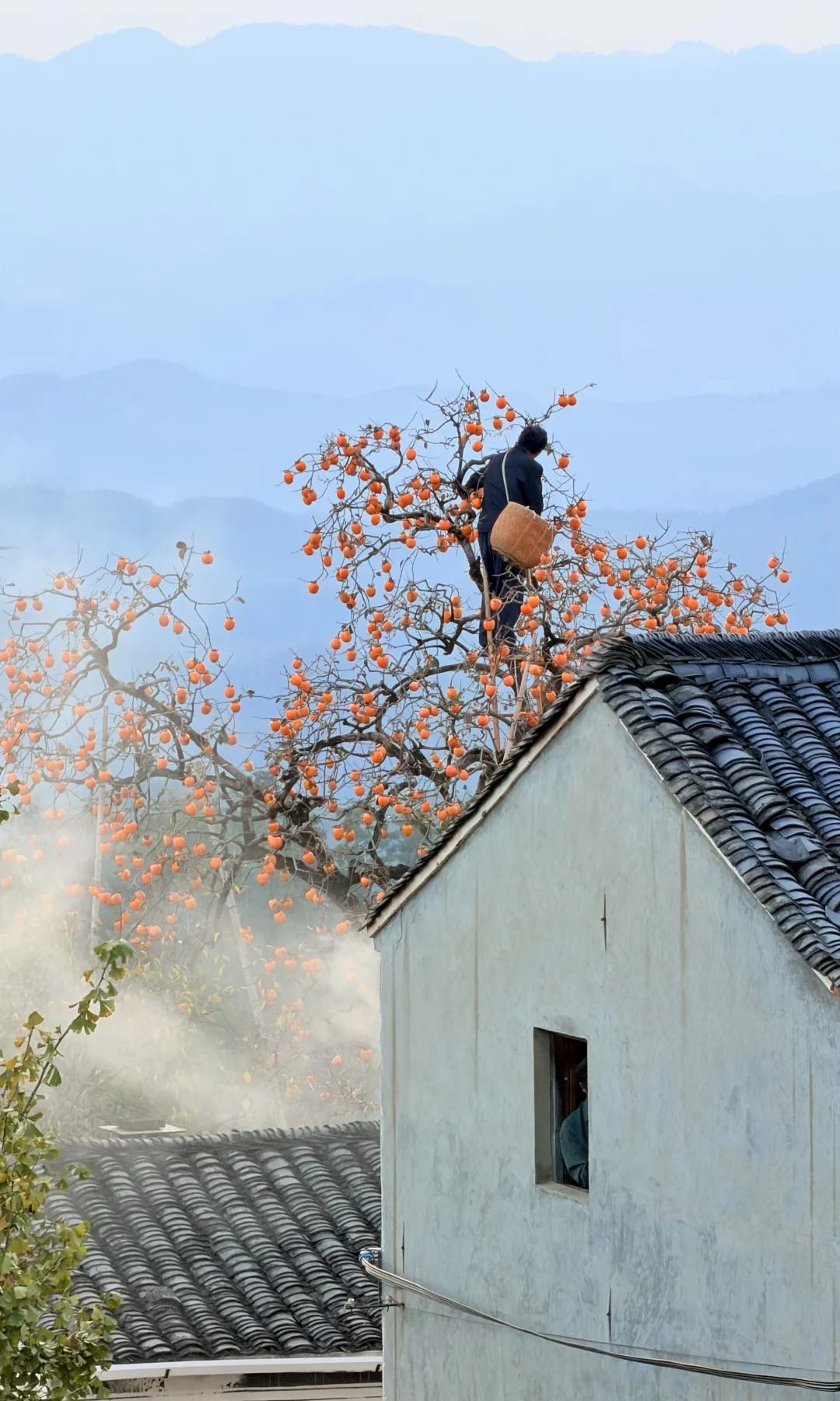 用全屏live打开皖南封神级别的秋天！！🍁🍁