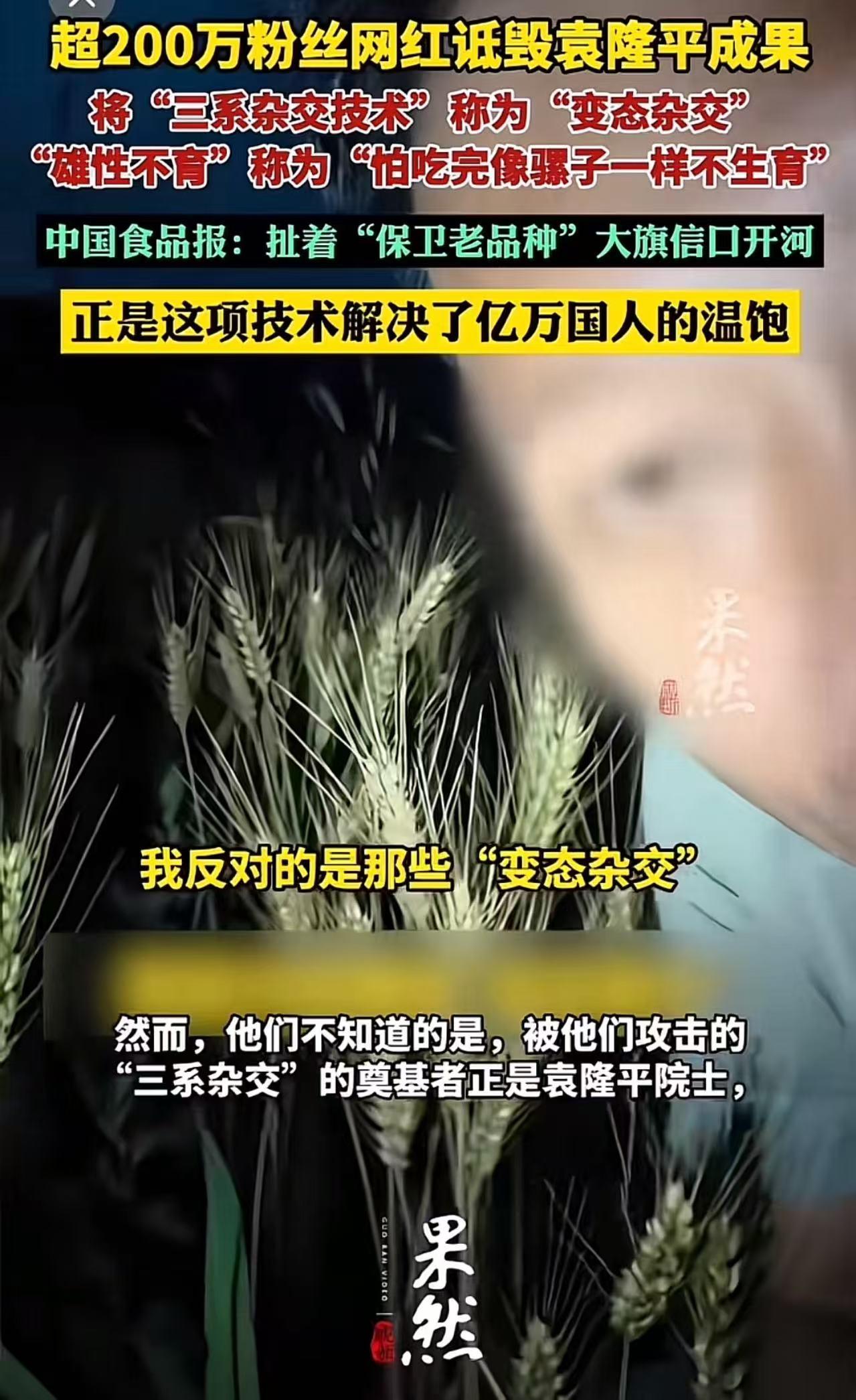 “不作死就不会死！”200万粉丝网红诋毁袁隆平杂交水稻，将其称为“变态杂交”“病