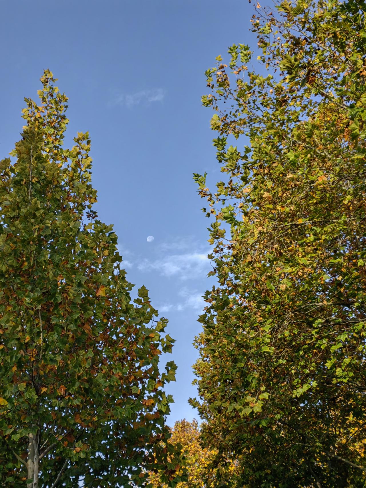 某单位有午餐补助，好事！但上级审计时发现，每月工作日内，单位职工用午餐达到“全勤