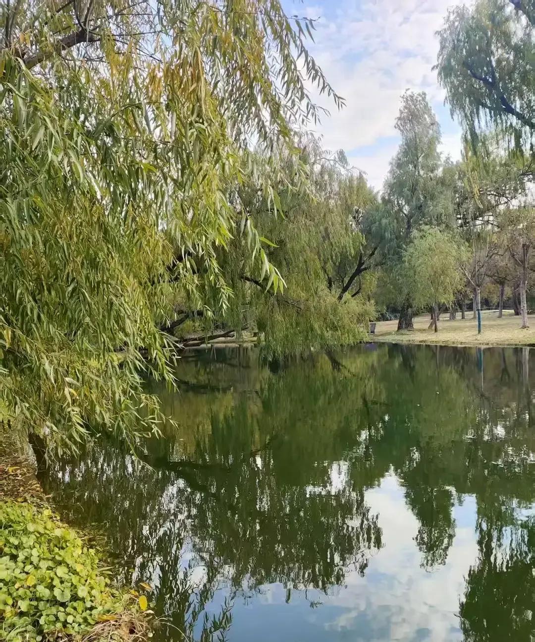 2025年6月25日，一条“命里钱财有定数，保持好心态，别太追钱”的短视频在抖音