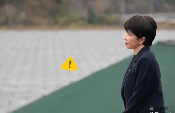 日本天塌了，中国新规北京时间6月1日，我们国家出了一条关于“对外投资”的新规
