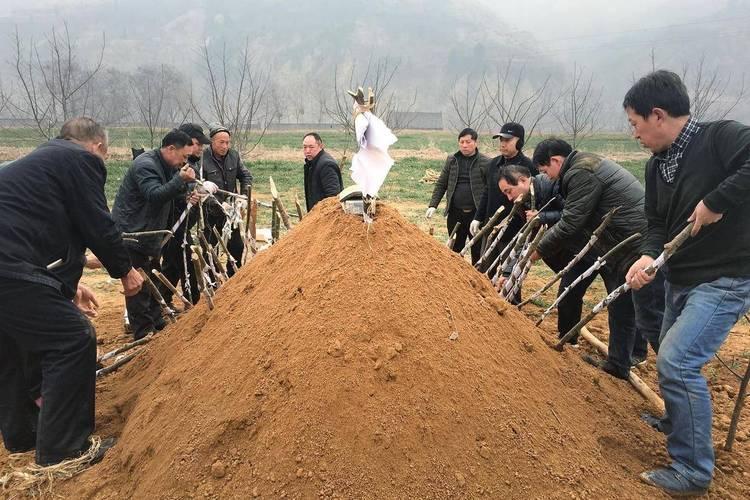 土葬竟是“资源刺客”？死后身体的操作，比恐怖片还颠覆！以为“入土为安”是体