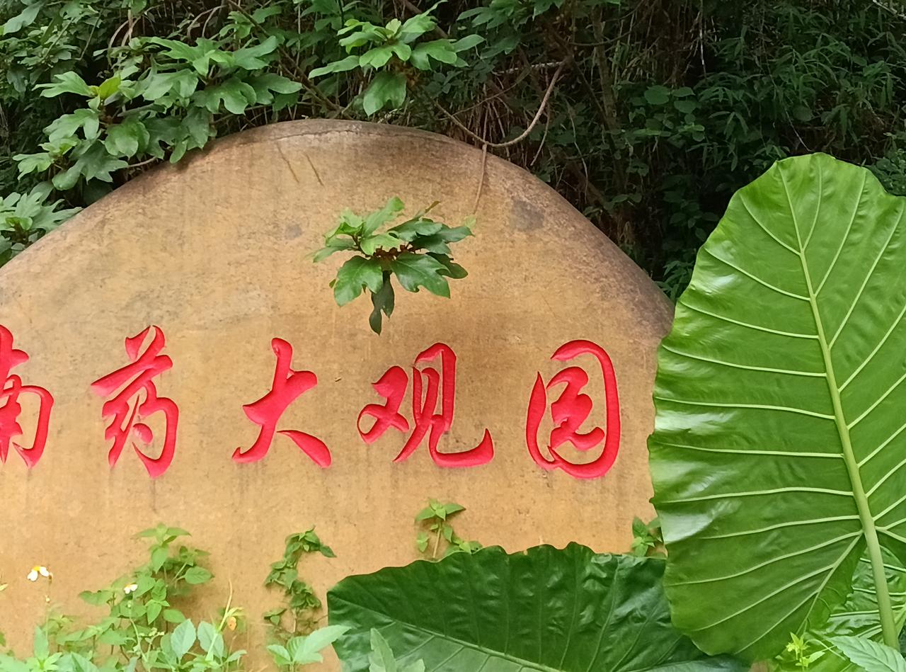 我国中医药事业与产业发展持续加速，着实令人倍感振奋！以中药材种植为例，不少地方都