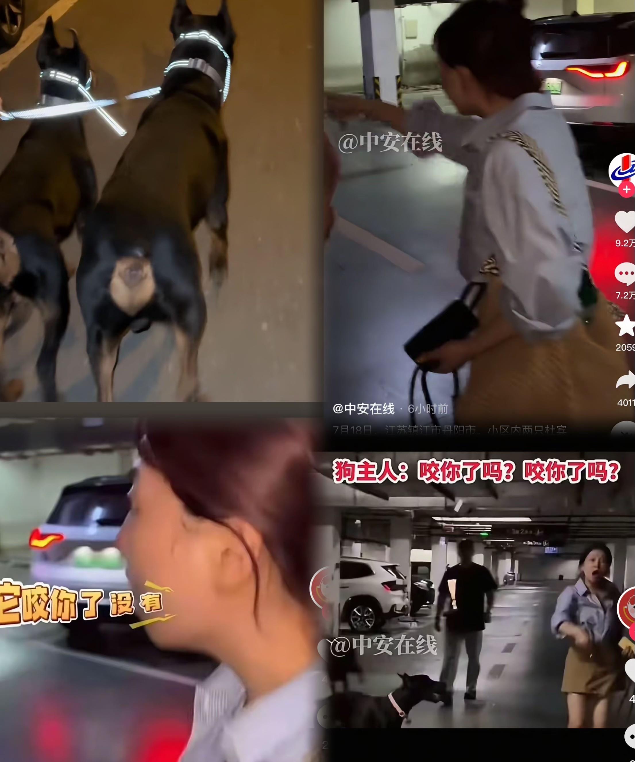 不愧是丹阳的市民，经过几天的努力，终于找到了杜宾犬的女主人。丹阳的市民这