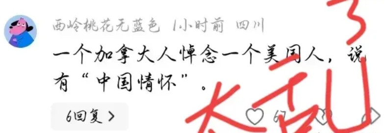 乱套了，彻底的乱套，哭笑不得的是，一个加拿大人悼念一个美国人，说感动于这个美国人
