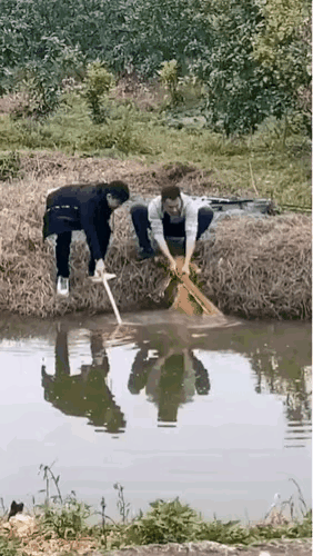 钓鱼人的快乐谁懂啊！当听到“快快上鱼了，摁住，拉拉拉”，那心情就跟坐过山车似的。