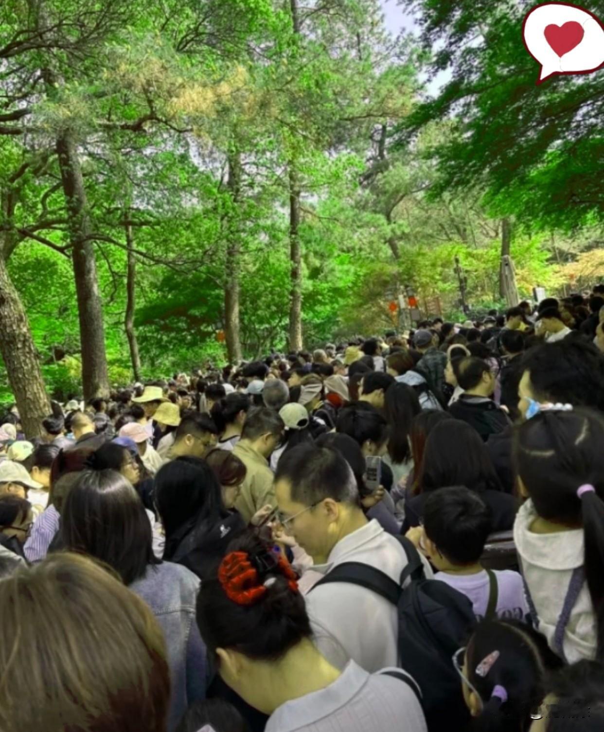 这下我是见识到了人从众是这样来的，五一假期去挤景区的，无非两拨人。一拨是