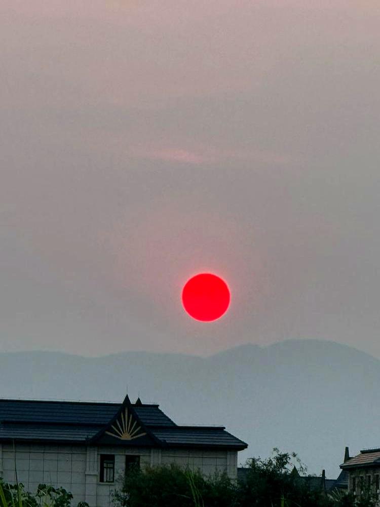 原来真本事，都是从仇人身上学来的！《知否》里，林噙霜靠着扮柔弱、哄男人，