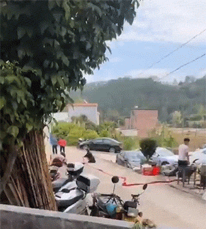 本来从从容容游刃有余，现在是……