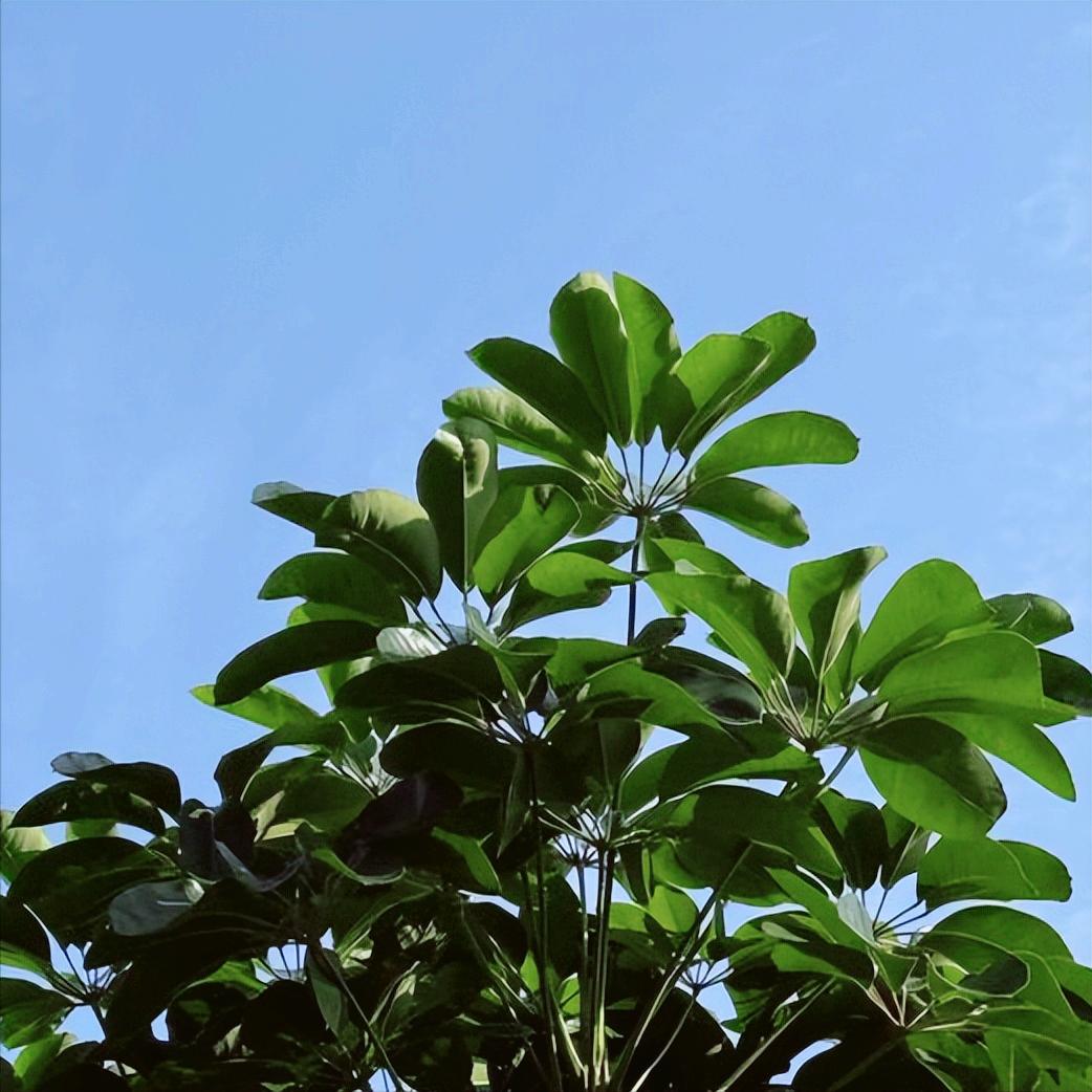 同日  央企：执纪审查3人 12月19日，央企：执纪审查3人，分别是： 