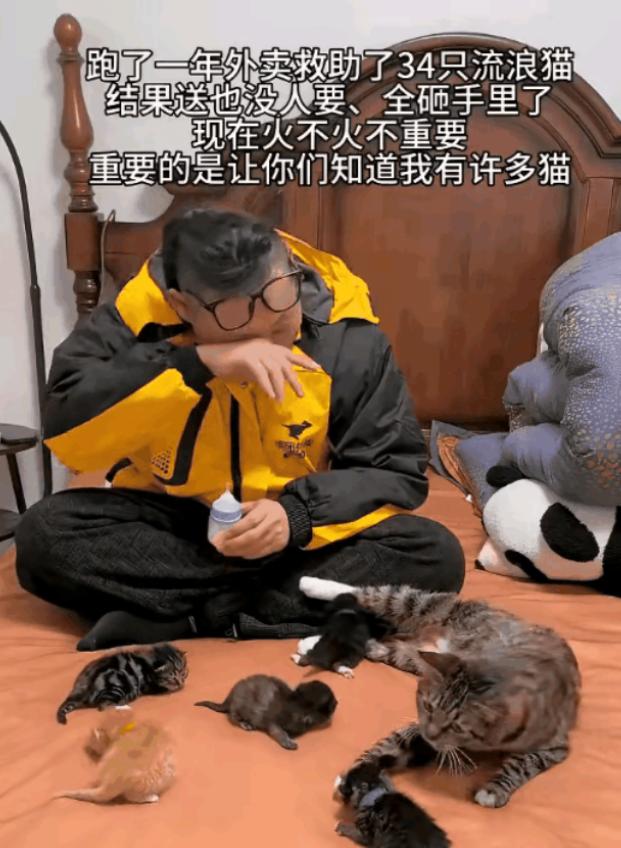 “太有爱心了！”杭州，一名外卖小哥跑了一年外卖，沿路救下了34只流浪猫，本想治好