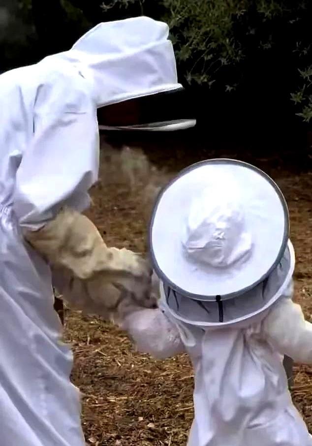 梅根这次为了自家蜂蜜事业可真是下血本了！谁能想到43岁的公爵夫人会带着3岁的
