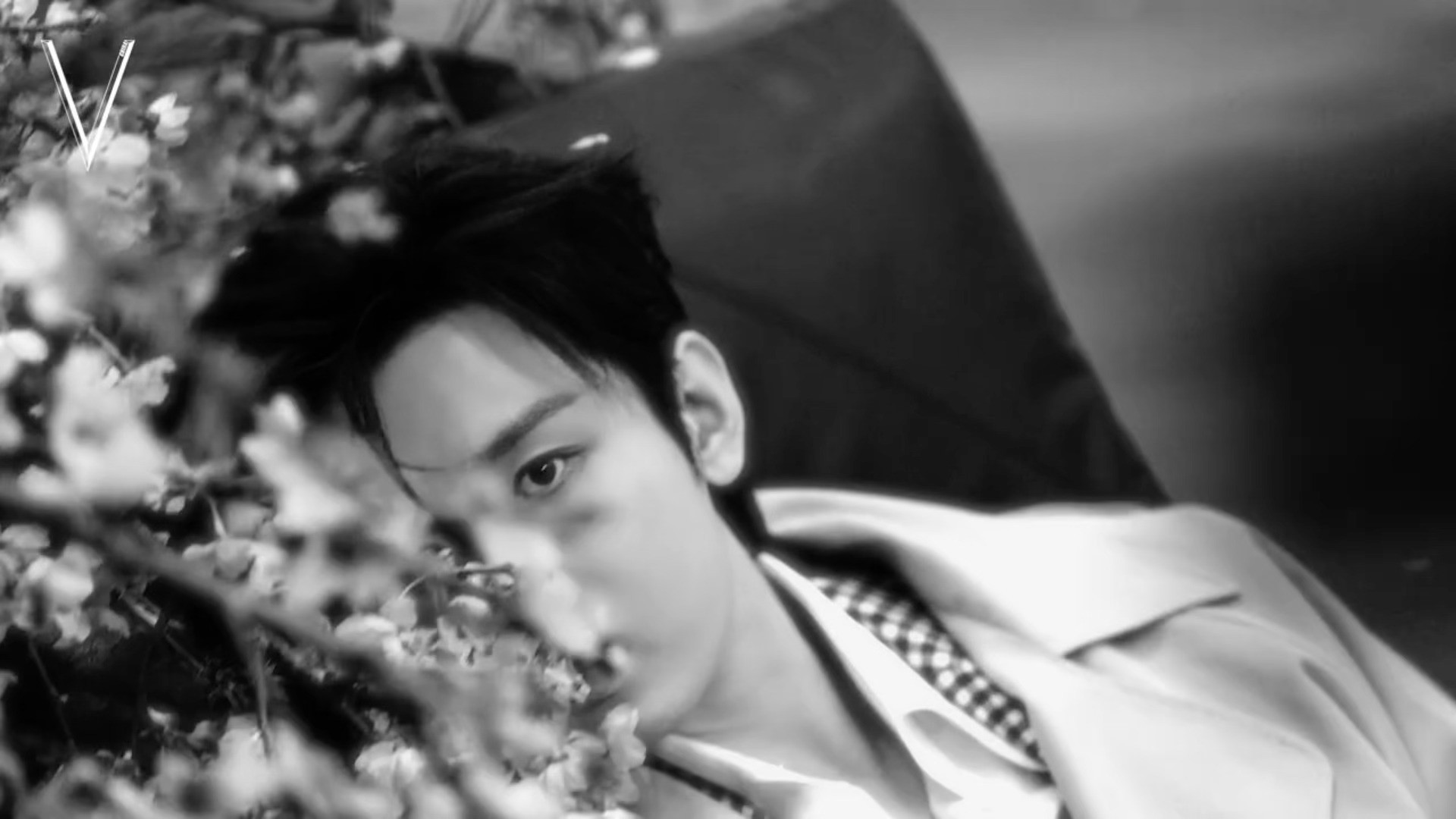 成毅V杂志中文版五月刊｜LIVE图「浅修」完全是生图直出的神！太高级太有质感了！