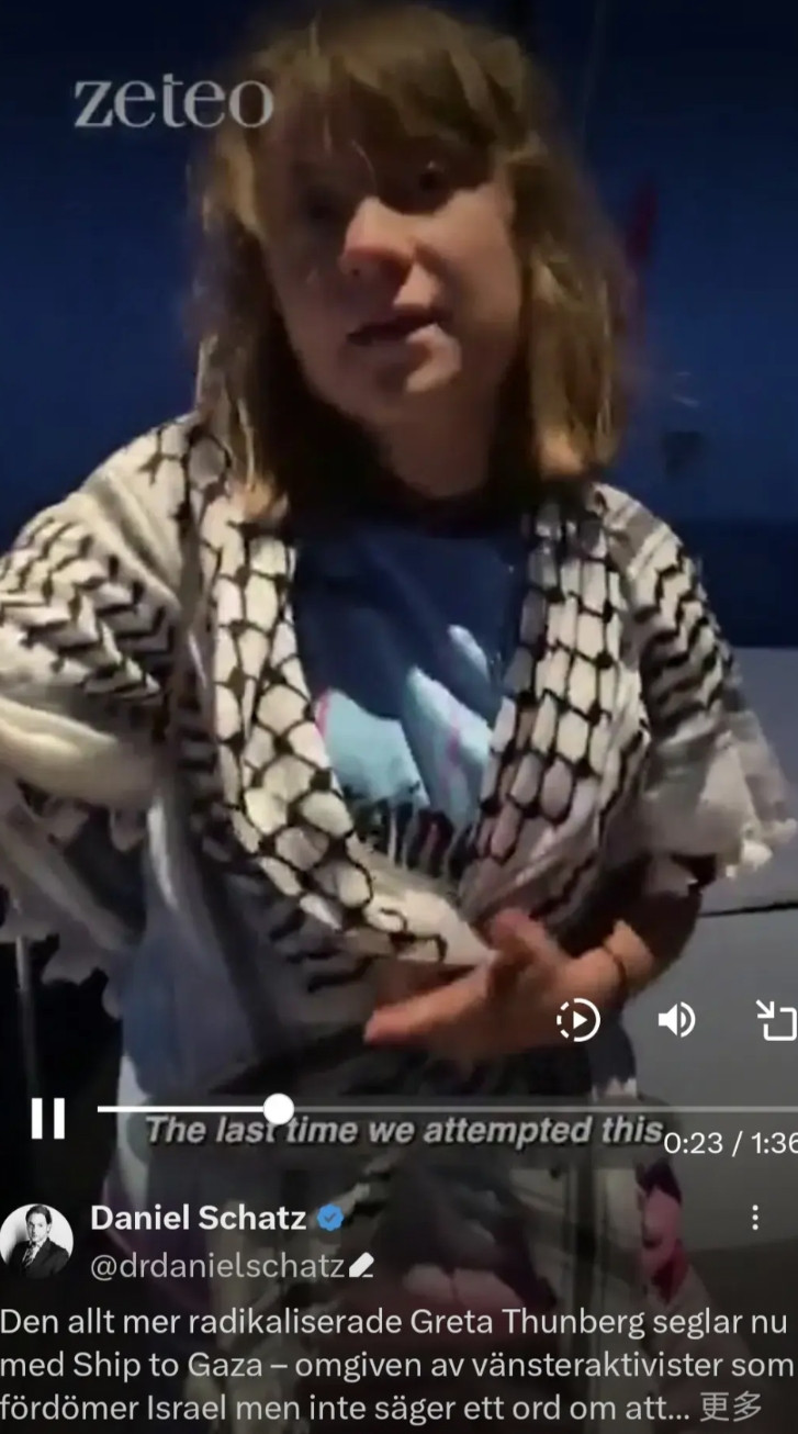环保少女格蕾塔突袭加沙！小船挂巴勒斯坦国旗硬闯以军封锁线，全程直播赌命博弈