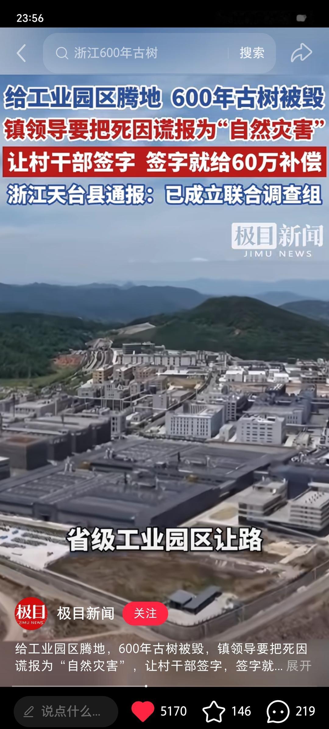 为工业园区让步，真的什么都能做得出来！浙江天台县一600多年的古树，竟为了值7
