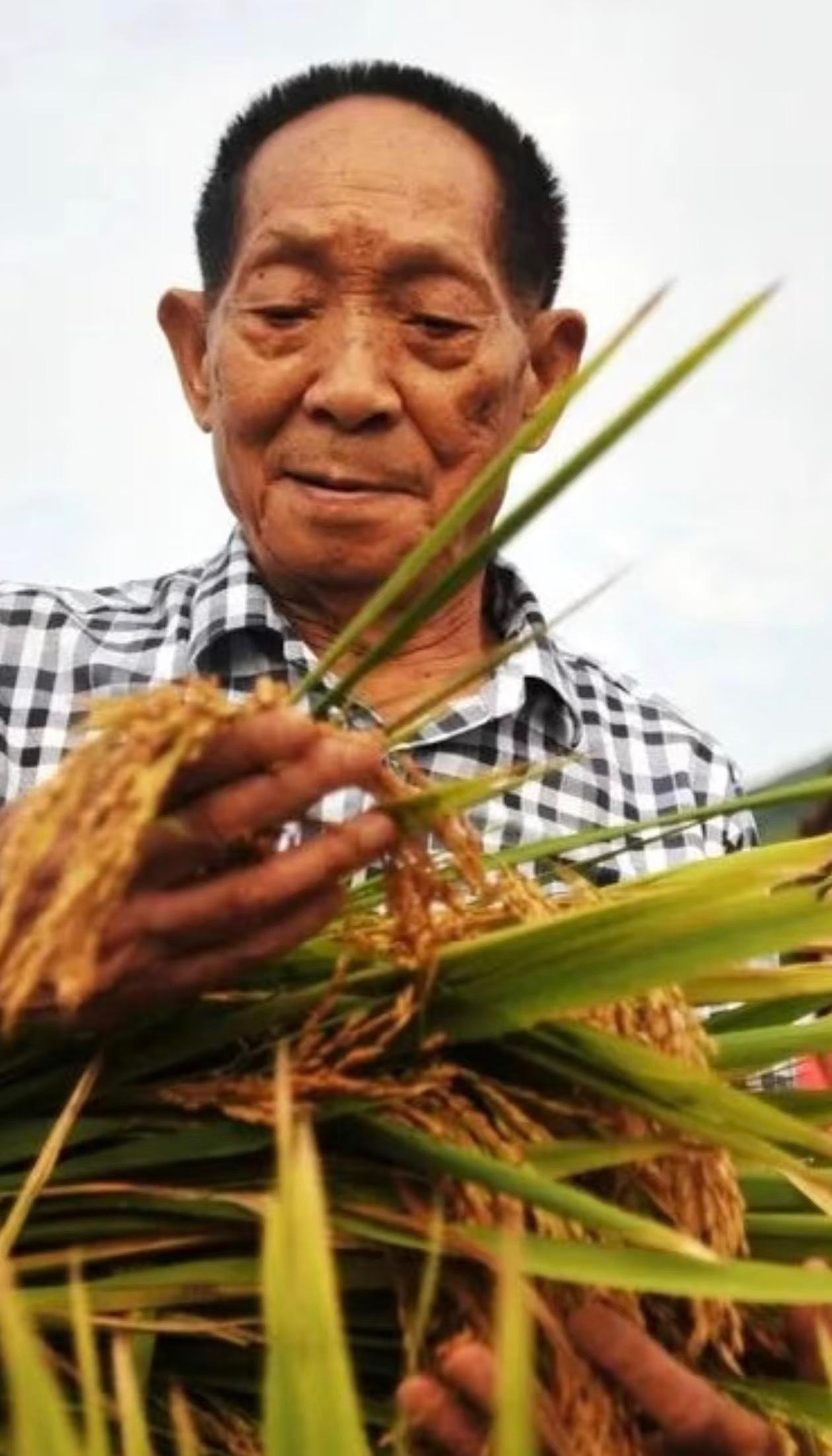 袁隆平爷爷曾经说过，上个世纪的六十年代，发生饥荒的时候饿死过人呐！我曾经亲眼