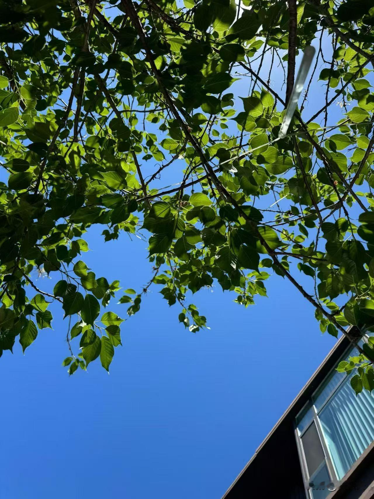 三个80后同班同学的故事：张同学，一毕业为了结婚就买了房，当时60万买的，中