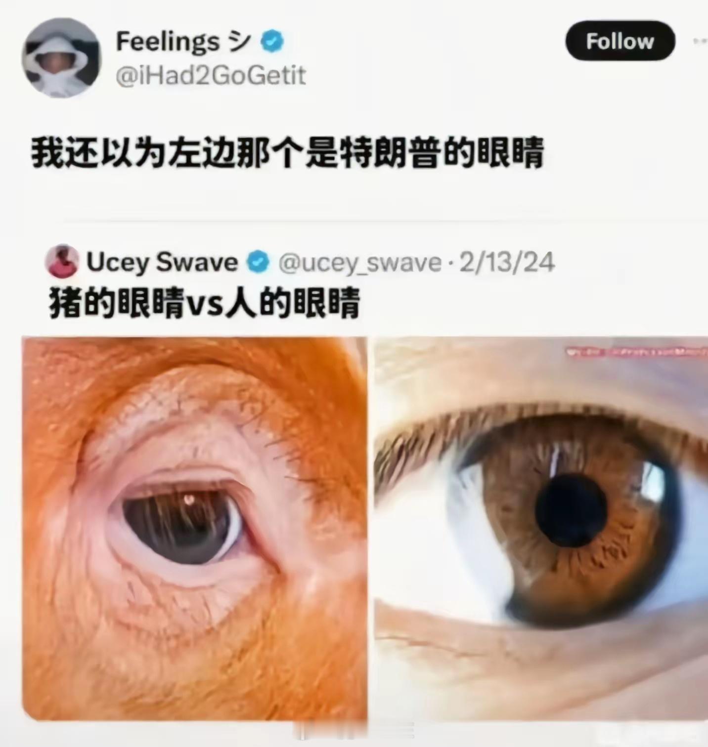 笑死，是我我也看错~~老川子的眼睛，太特色了。