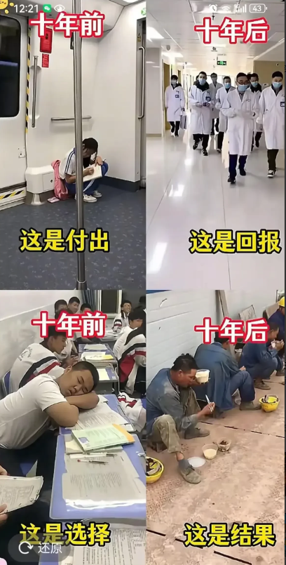 这付出和努力……我居然无法反驳。[点赞][点赞][点赞]