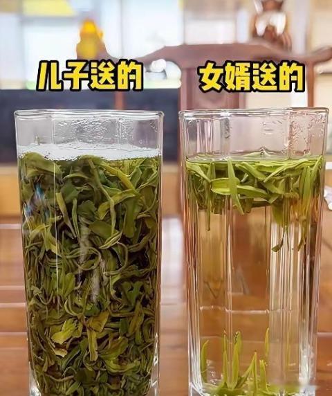 儿子、女婿过节全都拎了茶叶来看我，单凭这两杯茶水，你能看出谁买的茶叶更好吗？​