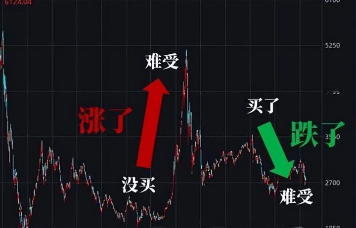 为了拿股息分红，股票浮亏了20个点，值不值？你要是买了一只股票，它跌了20%