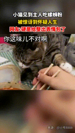 笑不活了！猫见我吃螺蛳粉的反应，直接封神！[捂脸哭][捂脸哭][捂脸哭]家
