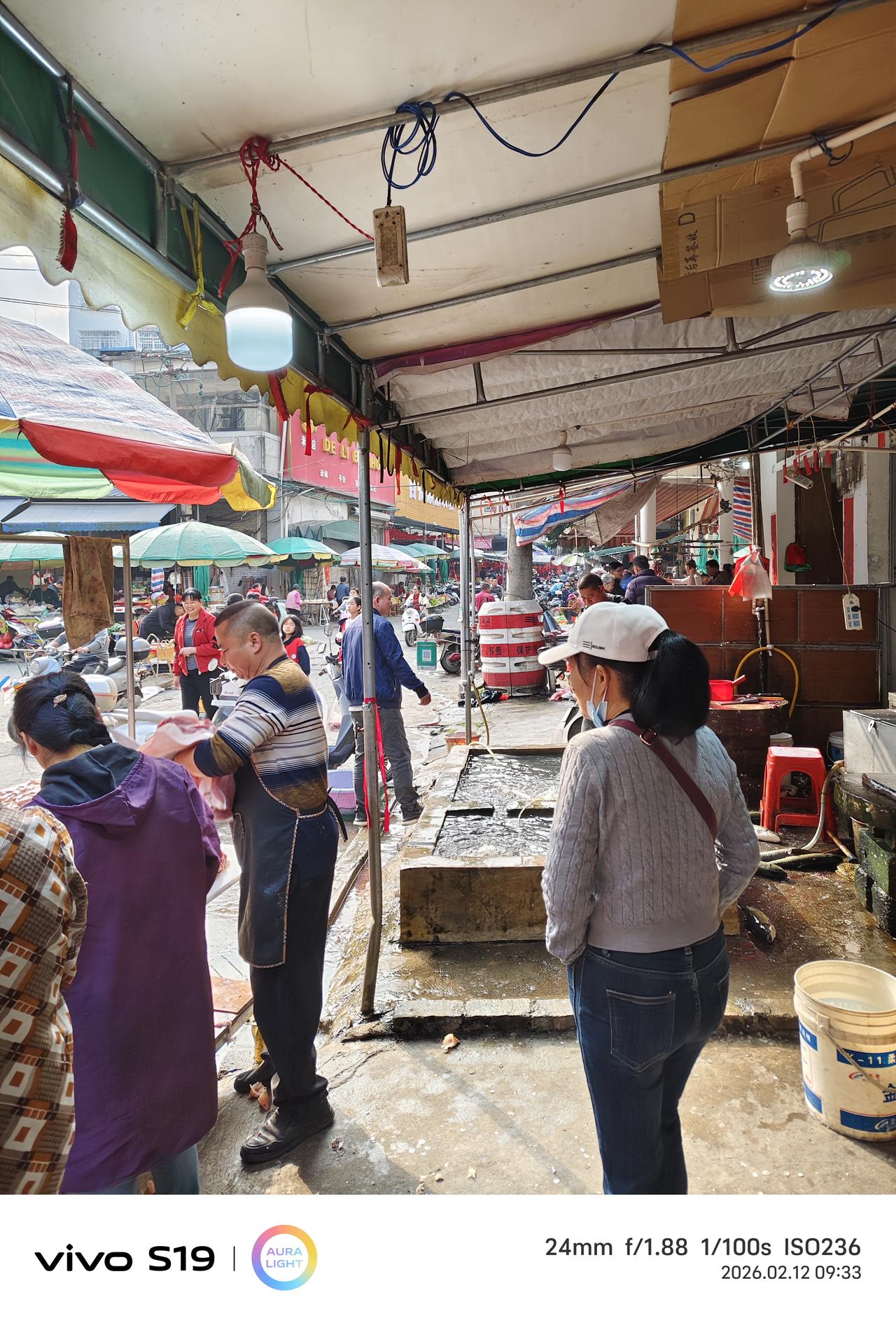 这个世界真是乱